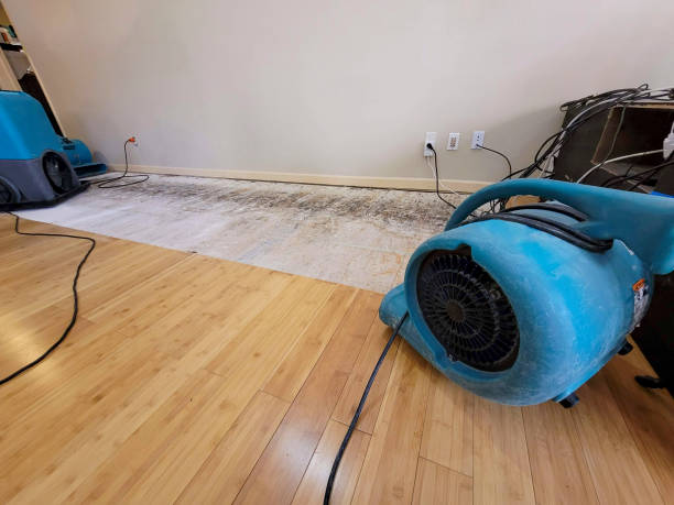 Professional Sewage Cleanup technician working in Carbondale, CO